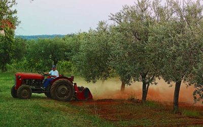 Akıllı tarım teknolojileri